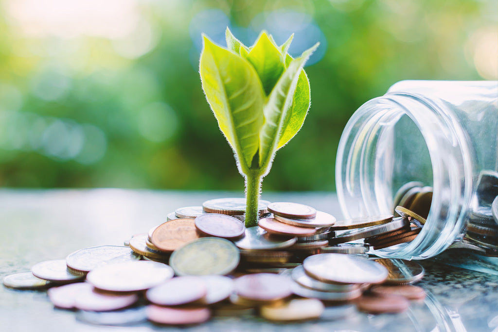 Achieve Sustainability on a Budget